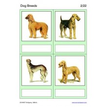 Dog Breeds