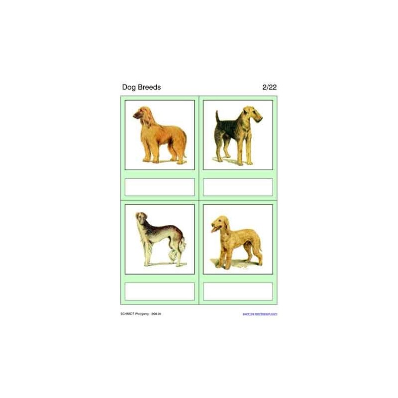 Dog Breeds
