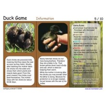 Duck Game (This article is also available in German)
