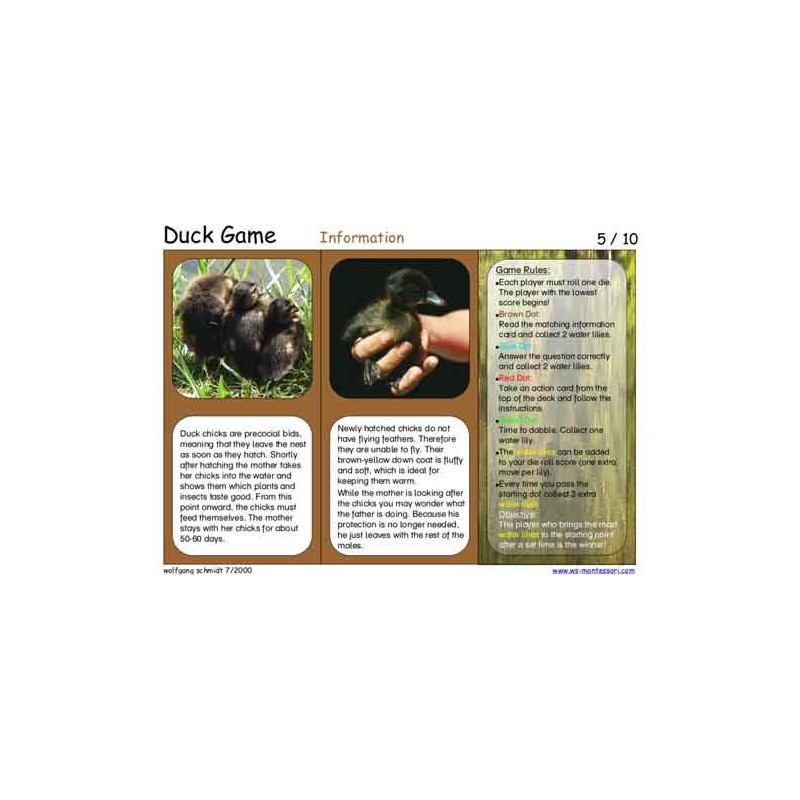 Duck Game (Dieser Artikel ist auch in deutsch erhältlich)