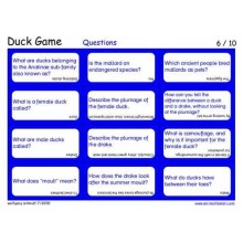 Duck Game (This article is also available in German)