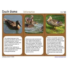 Duck Game (Dieser Artikel ist auch in deutsch erhältlich)