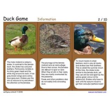 Duck Game (This article is also available in German)