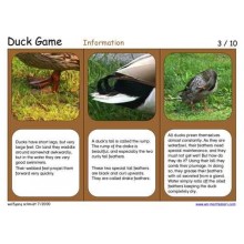 Duck Game (This article is also available in German)
