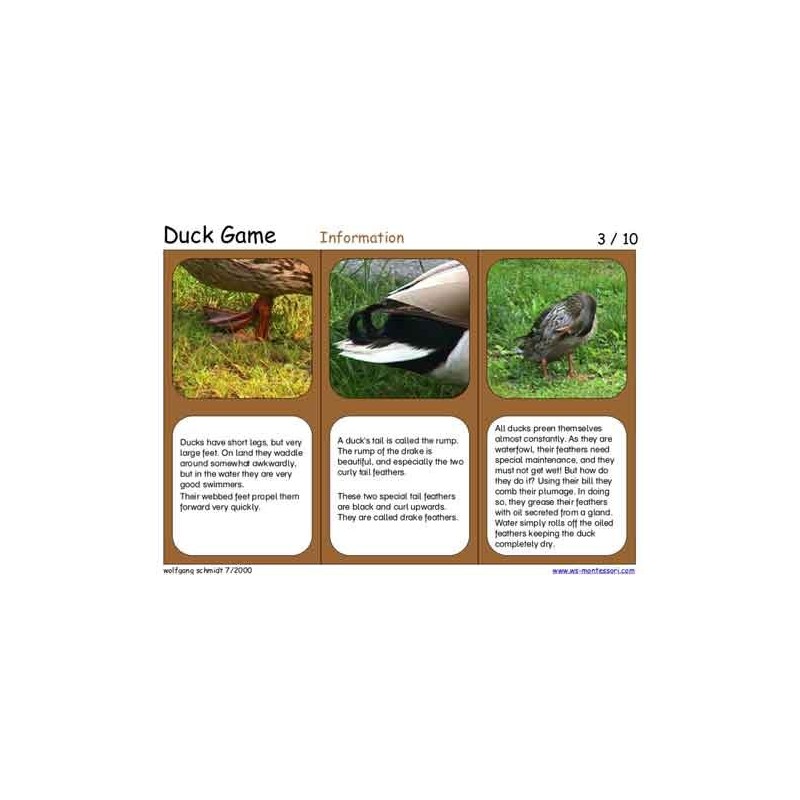 Duck Game (This article is also available in German)