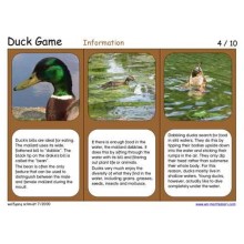Duck Game (Dieser Artikel ist auch in deutsch erhältlich)