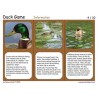Duck Game (This article is also available in German)
