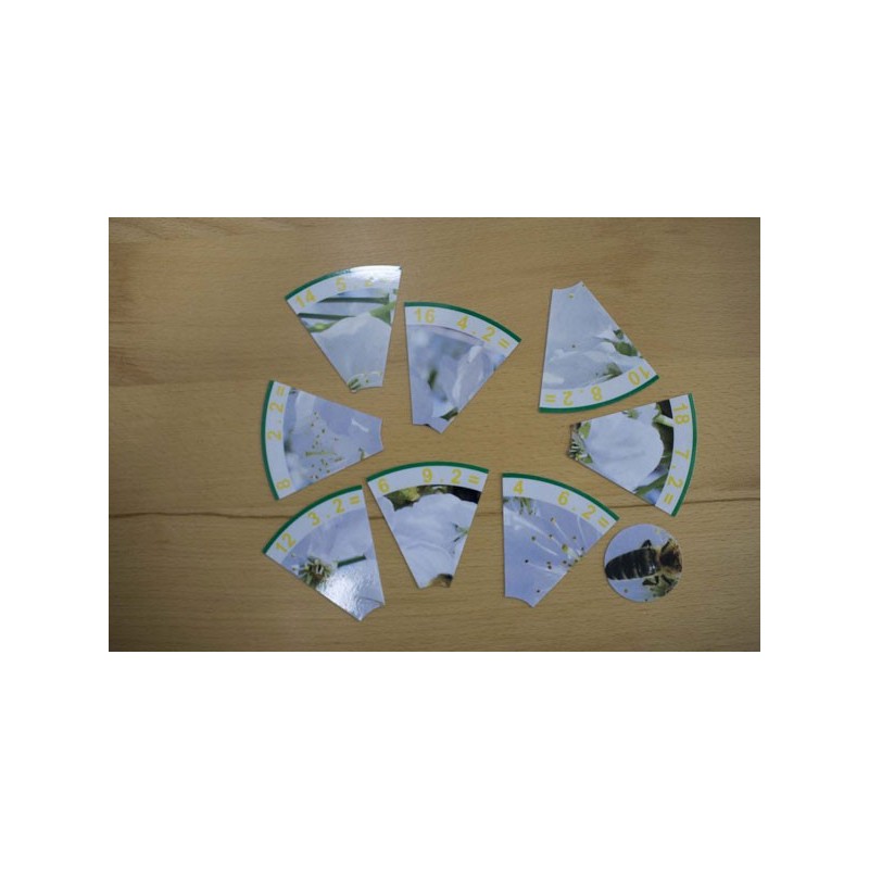 Einmaleins - Alle Materialien komplett Einmaleins - Alle Materialien komplett