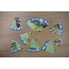 Multiplication tables - All materials complete