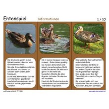 Entenspiel 