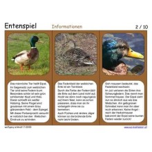 Entenspiel 