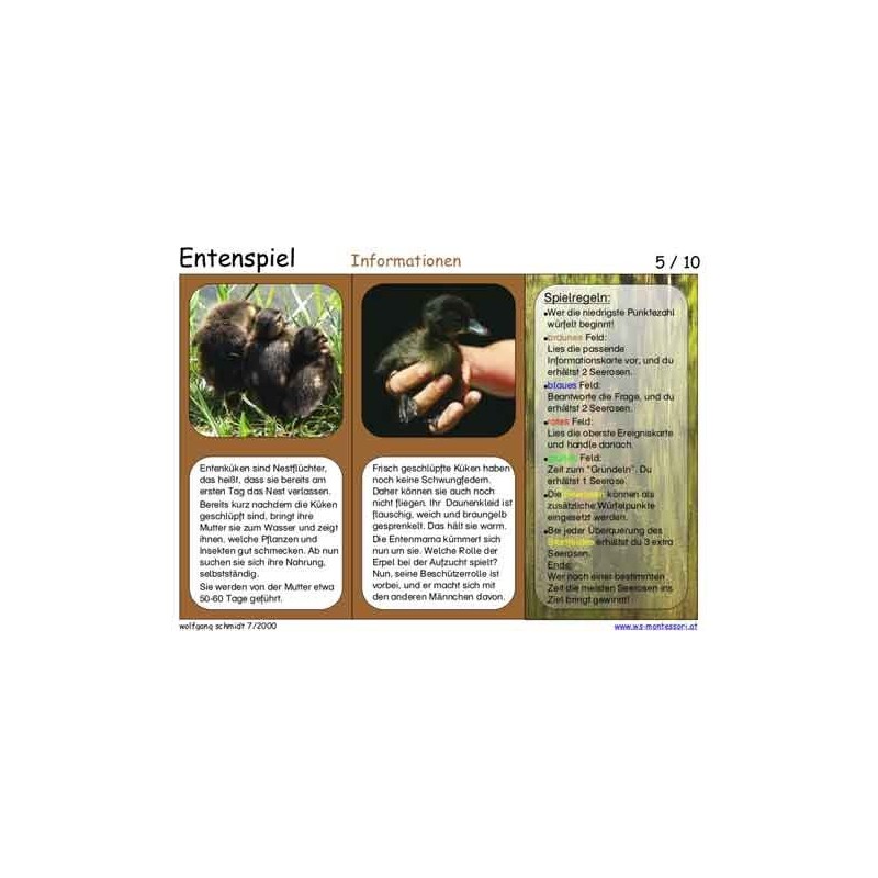 Entenspiel 