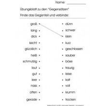 Gegensätze, Adj. braun