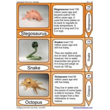 Geological Time Line (This article is also available in German)