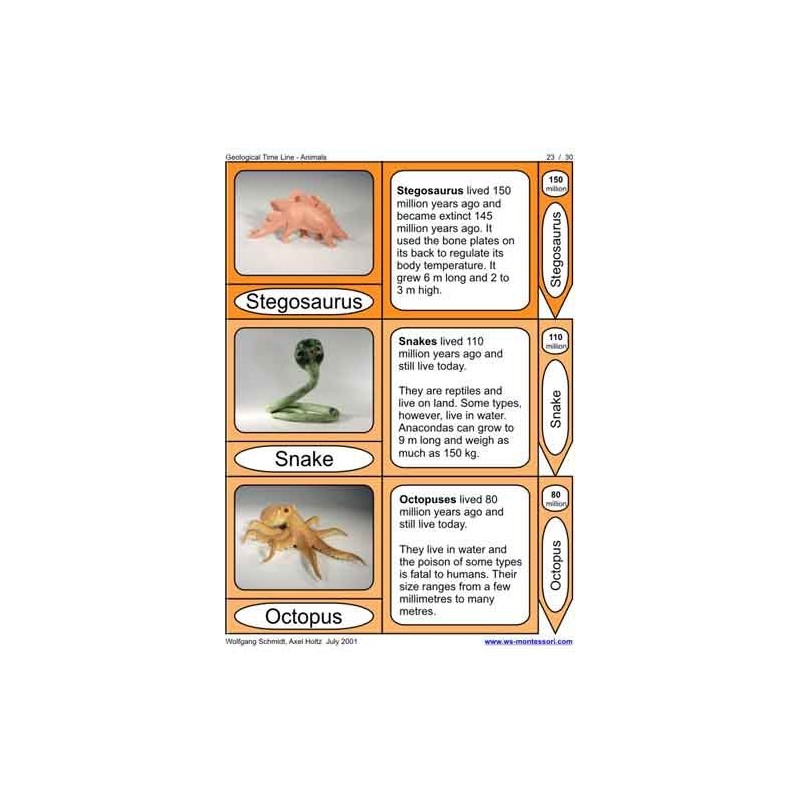 Geological Time Line (This article is also available in German)
