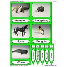 Geologická časová os (tento článok je k dispozícii aj v nemčine)