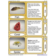 Geological Time Line (This article is also available in German)