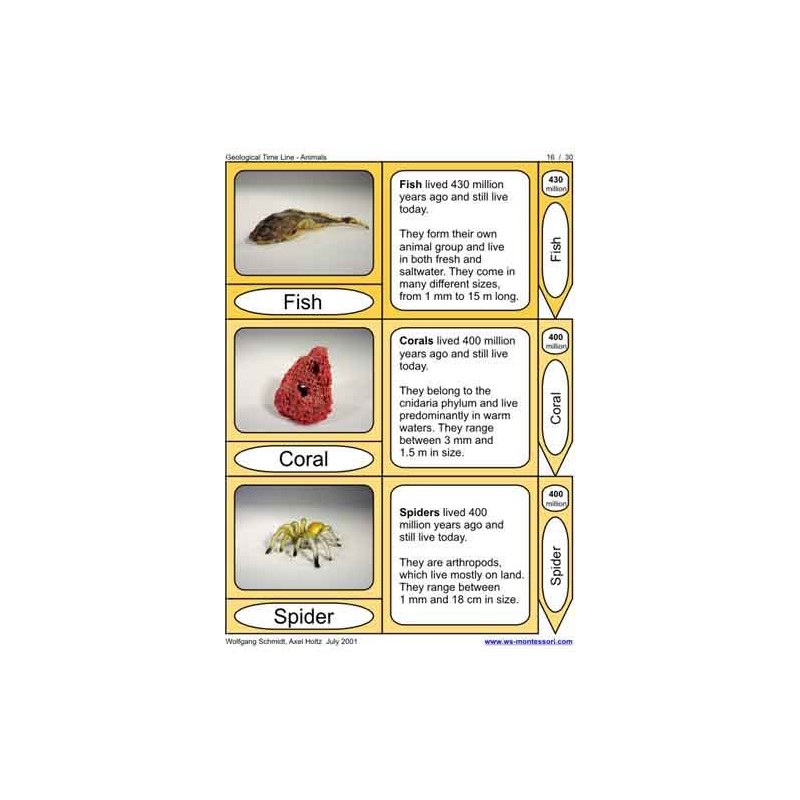 Geological Time Line (This article is also available in German)