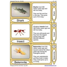 Geological Time Line (This article is also available in German)
