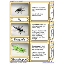 Geological Time Line (This article is also available in German)