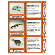 Geological Time Line (This article is also available in German)