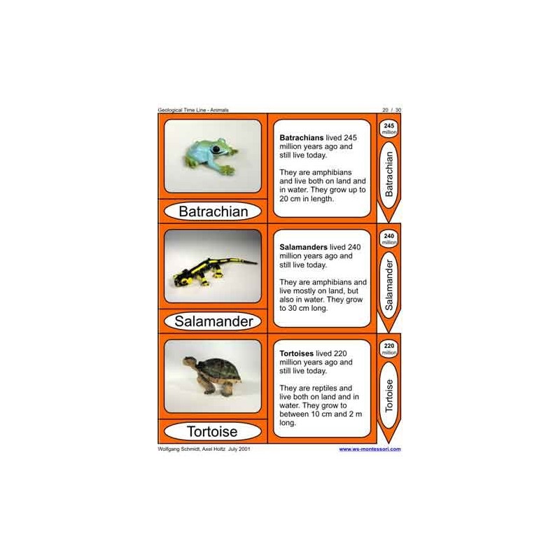 Geological Time Line (This article is also available in German)