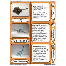 Geological Time Line (This article is also available in German)