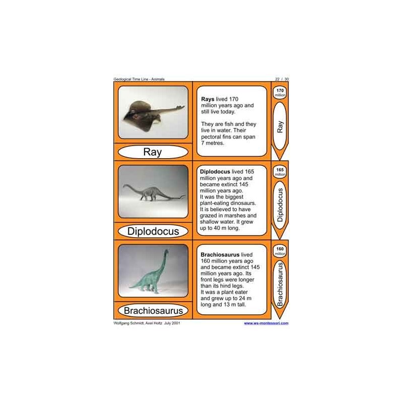 Geological Time Line (This article is also available in German)
