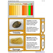 Geological Time Line (This article is also available in German)