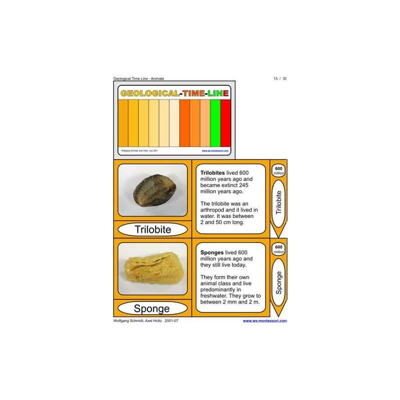 Geological Time Line (This article is also available in German)