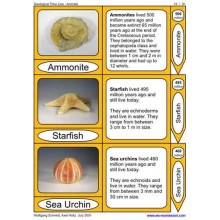 Geological Time Line (This article is also available in German)