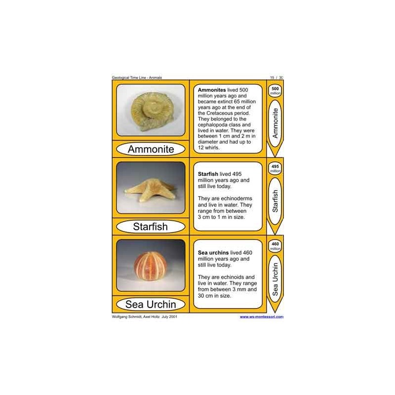 Geological Time Line (This article is also available in German)