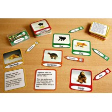 Geological Time Line (This article is also available in German)