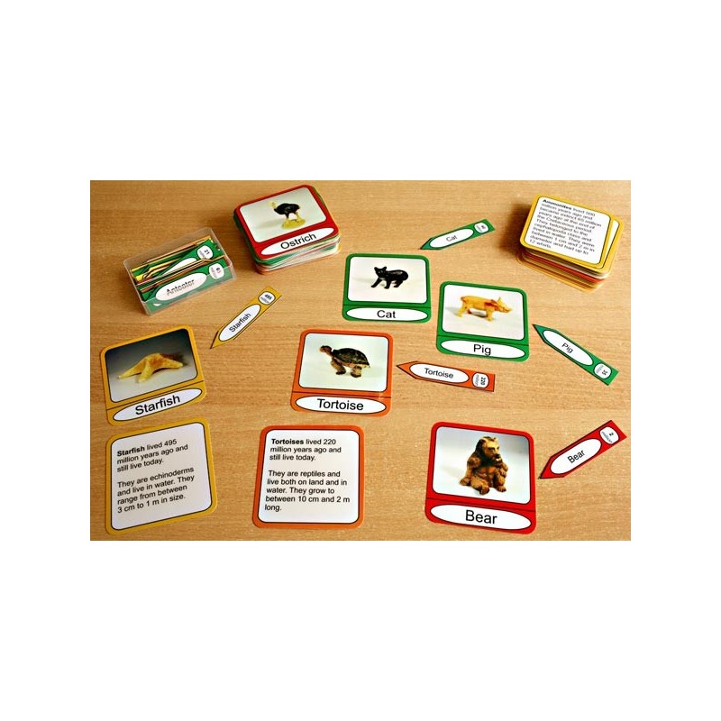 Geologická časová os (tento článok je k dispozícii aj v nemčine)