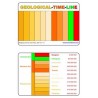 Geological Time Line (This article is also available in German)