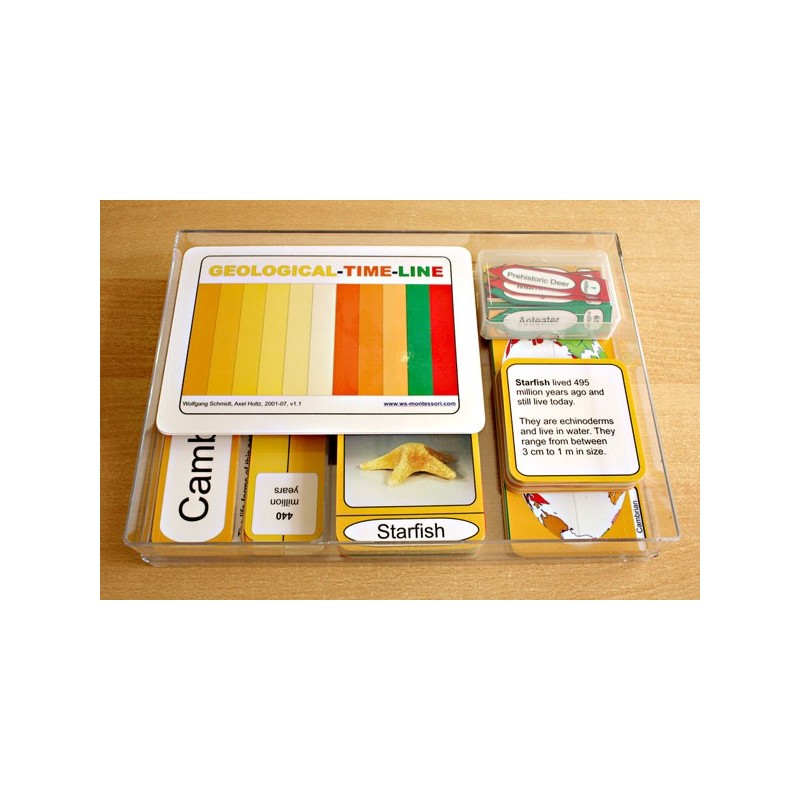 Geological Time Line (This article is also available in German)