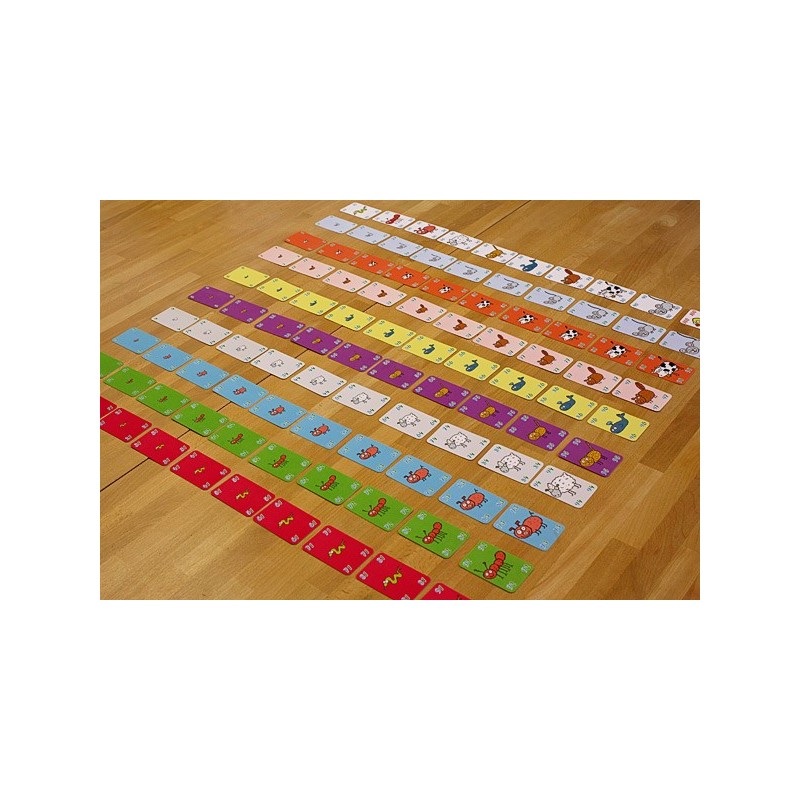 Big animals - small animals