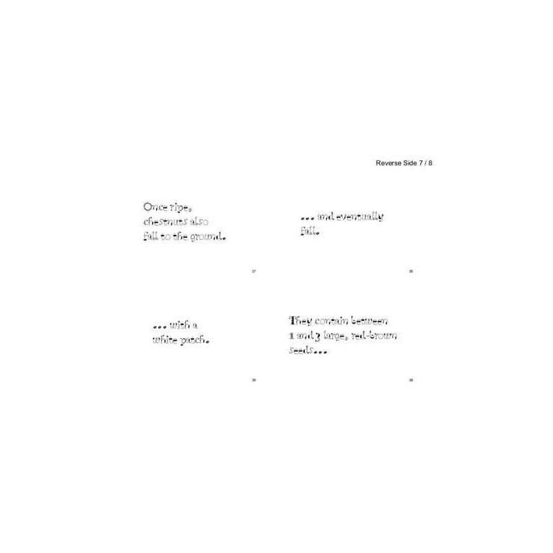 Horse-Chestnuts (This article is also available in German)