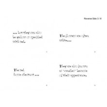 Horse-Chestnuts (This article is also available in German)