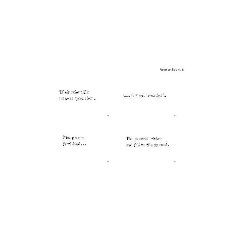 Horse-Chestnuts (This article is also available in German)