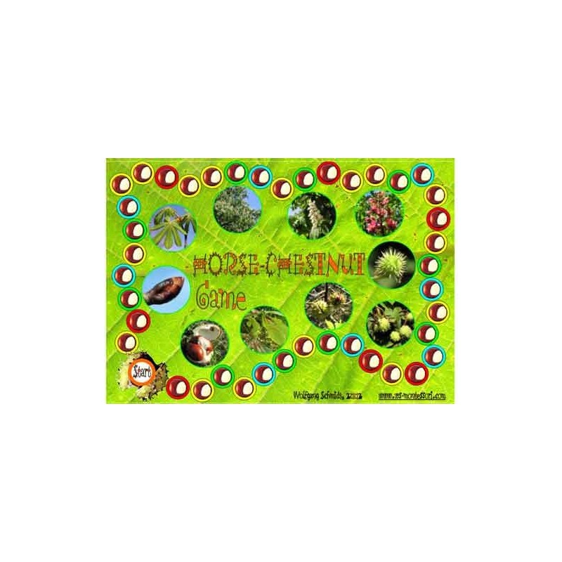 Horse-Chestnuts (This article is also available in German)