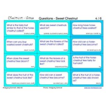 Horse-Chestnuts (This article is also available in German)