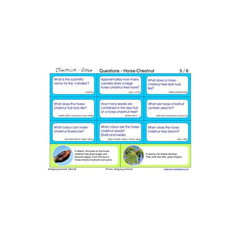 Horse-Chestnuts (This article is also available in German)