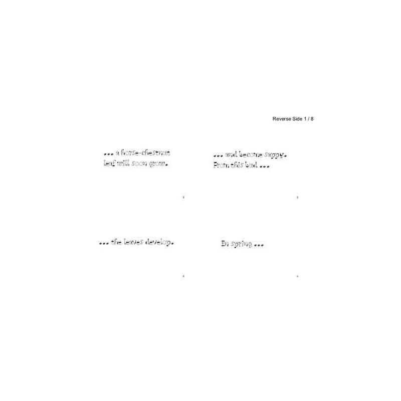 Horse-Chestnuts	 (Dieser Artikel ist auch in deutsch erhältlich)