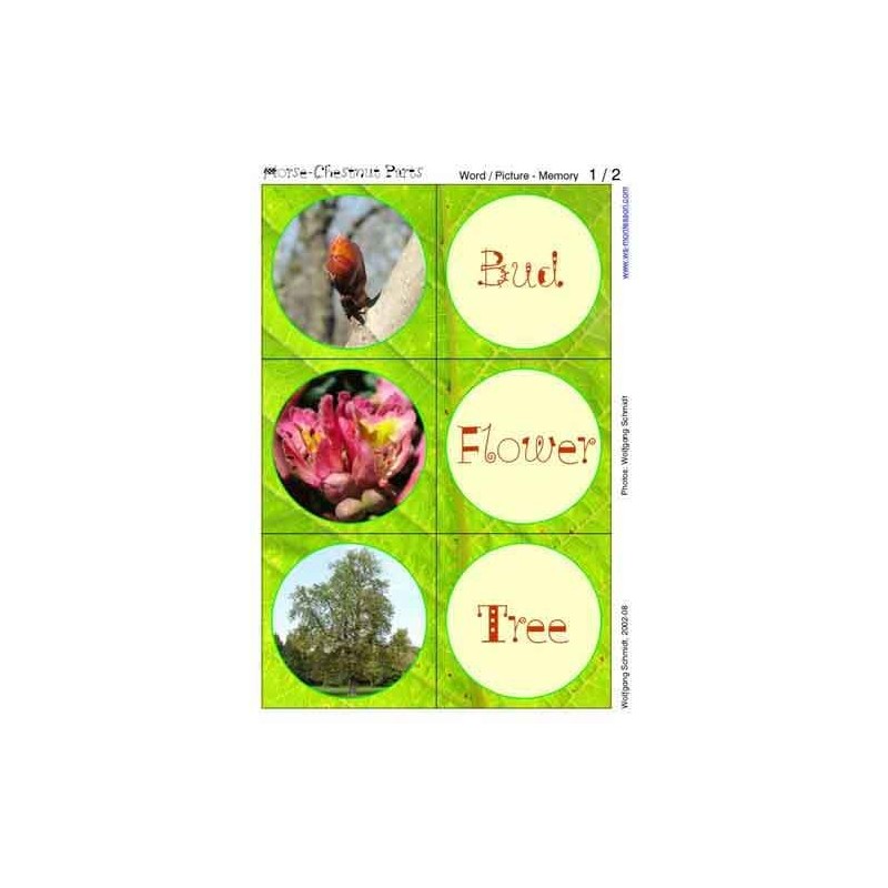 Horse-Chestnuts	 (Dieser Artikel ist auch in deutsch erhältlich)