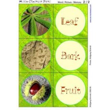 Horse-Chestnuts	 (Dieser Artikel ist auch in deutsch erhältlich)