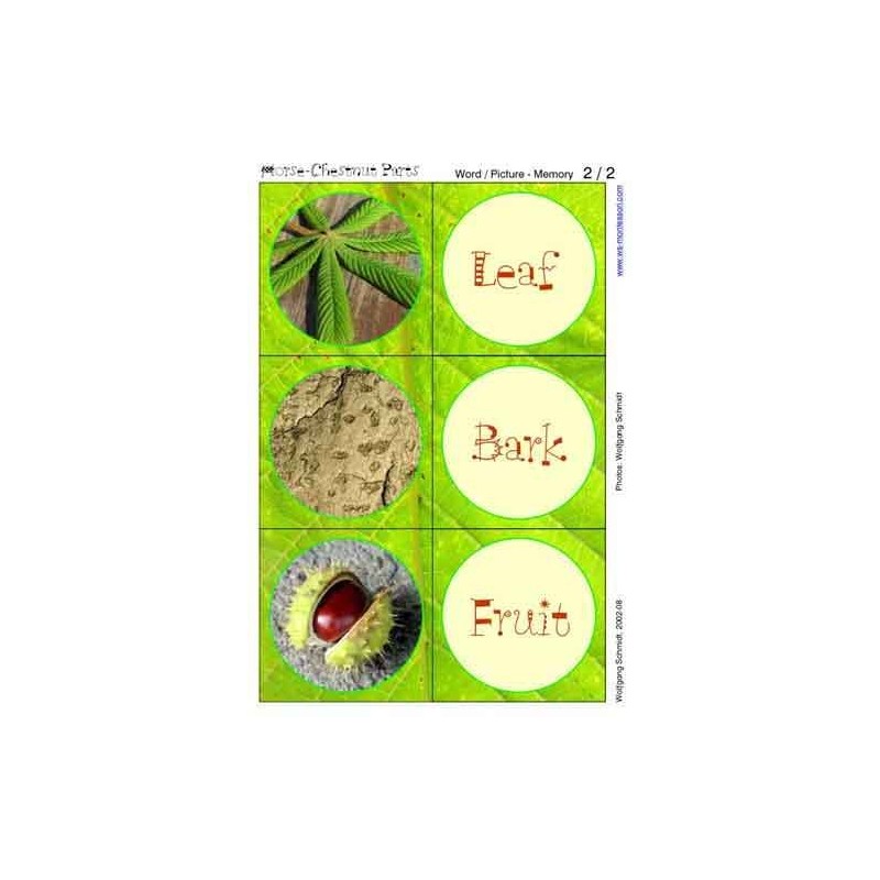 Horse-Chestnuts (This article is also available in German)