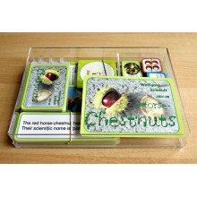 Horse-Chestnuts	 (Dieser Artikel ist auch in deutsch erhältlich)