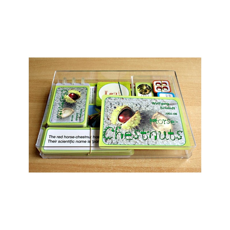 Horse-Chestnuts (This article is also available in German)