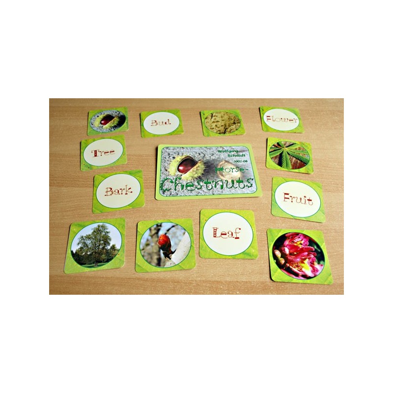 Horse-Chestnuts (This article is also available in German)